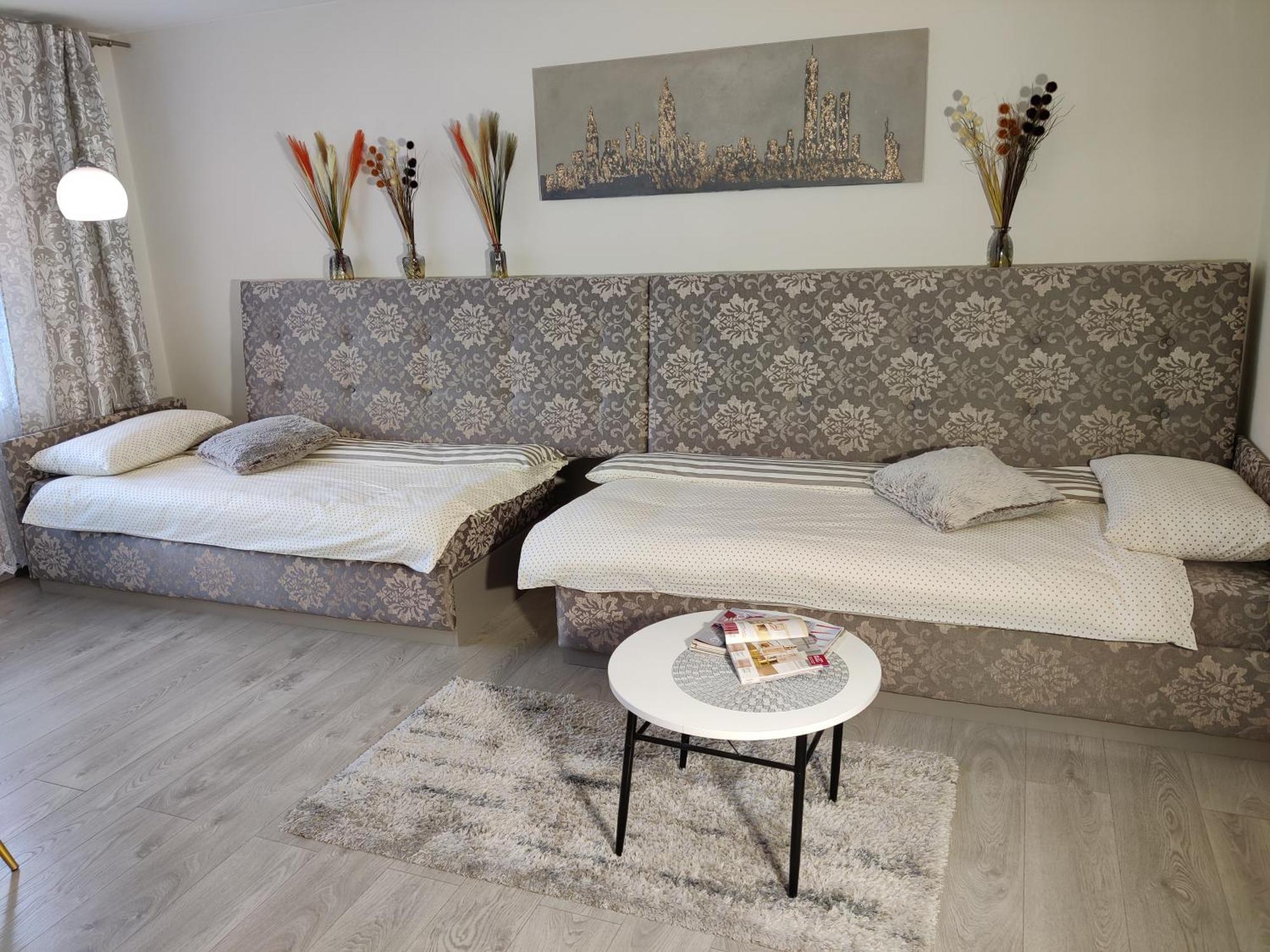 Šiauliai Apartment Dalyce מראה חיצוני תמונה