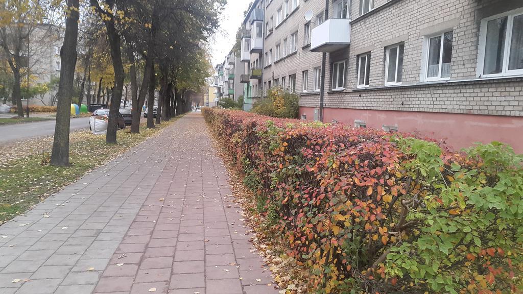 Šiauliai Apartment Dalyce מראה חיצוני תמונה